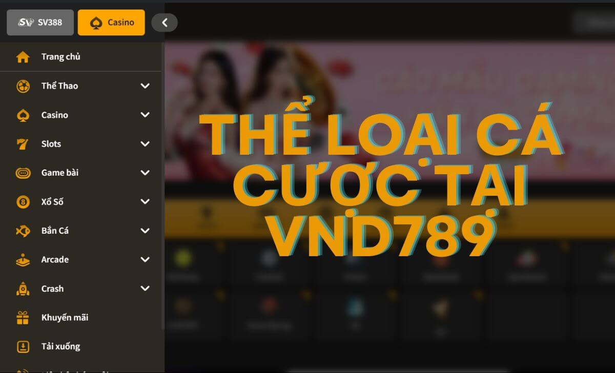 Thể loại cá cược có mặt tại VND789